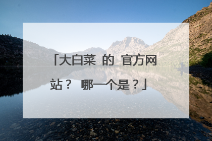 大白菜 的 官方网站? 哪一个是?