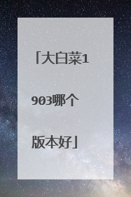 大白菜1903哪个版本好