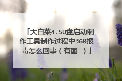 大白菜4.5U盘启动制作工具制作过程中360报毒怎么回事(有图 )