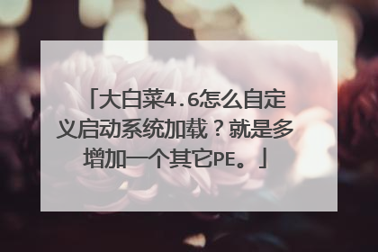 大白菜4.6怎么自定义启动系统加载?就是多增加一个其它PE。