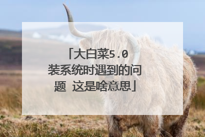 大白菜5.0 装系统时遇到的问题 这是啥意思