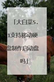 大白菜5.1支持移动硬盘制作启动盘 吗