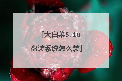 大白菜5.1u盘装系统怎么装