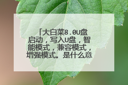 大白菜8.0U盘启动，写入U盘，智能模式，兼容模式，增强模式。是什么意思？有什么用？