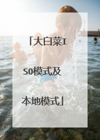 大白菜ISO模式及本地模式
