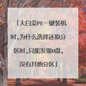 大白菜PE一键装机时,为什么选择还原分区时,只能发现U盘,没有其他分区