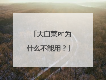 大白菜PE为什么不能用?