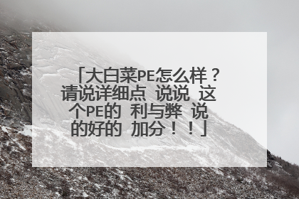 大白菜PE怎么样?请说详细点 说说 这个PE的 利与弊 说的好的 加分!!