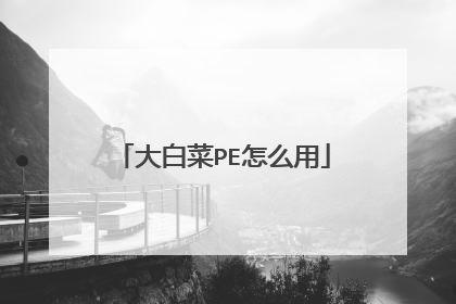 大白菜PE怎么用