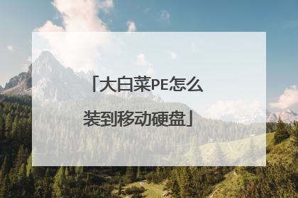 大白菜PE怎么装到移动硬盘