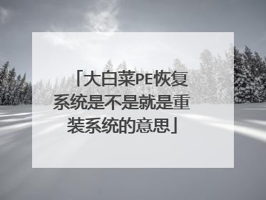 大白菜PE恢复系统是不是就是重装系统的意思