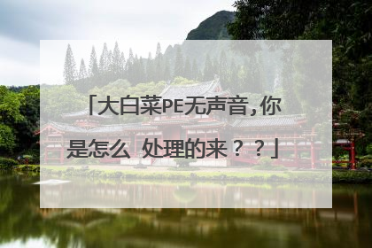 大白菜PE无声音,你是怎么 处理的来??