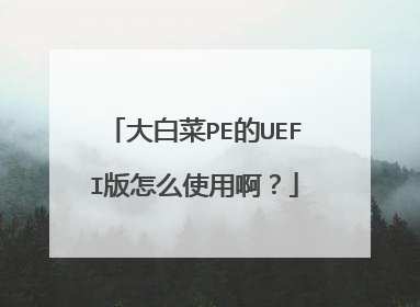 大白菜PE的UEFI版怎么使用啊?