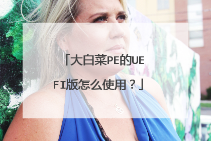 大白菜PE的UEFI版怎么使用?