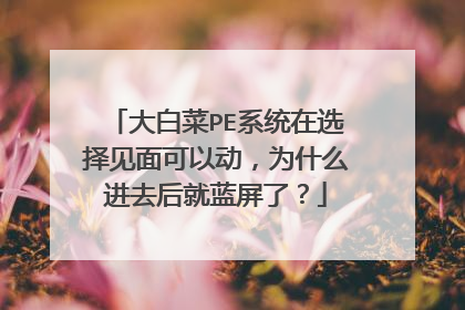 大白菜PE系统在选择见面可以动,为什么进去后就蓝屏了?