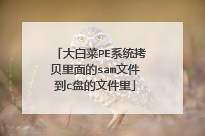 大白菜PE系统拷贝里面的sam文件到c盘的文件里
