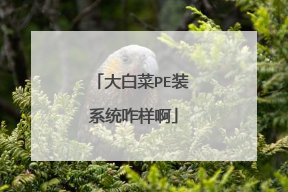 大白菜PE装系统咋样啊