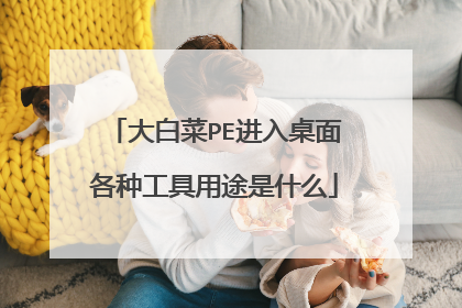 大白菜PE进入桌面各种工具用途是什么
