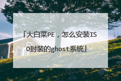 大白菜PE,怎么安装ISO封装的ghost系统
