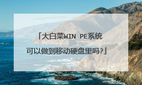 大白菜WIN PE系统可以做到移动硬盘里吗?