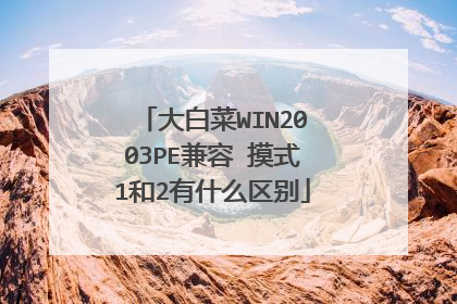 大白菜WIN2003PE兼容 摸式1和2有什么区别
