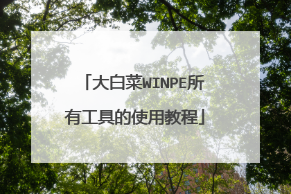 大白菜WINPE所有工具的使用教程