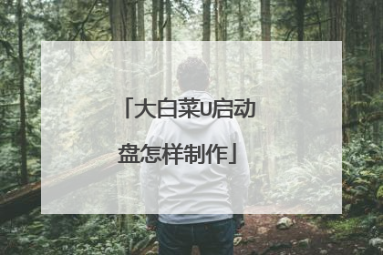 大白菜U启动盘怎样制作