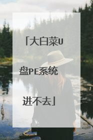 大白菜U盘PE系统进不去