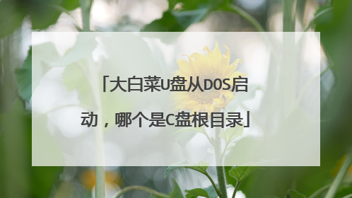 大白菜U盘从DOS启动，哪个是C盘根目录
