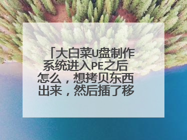 大白菜U盘制作系统进入PE之后怎么,想拷贝东西出来,然后插了移动硬盘,拷贝完之后发现没有可以弹出设