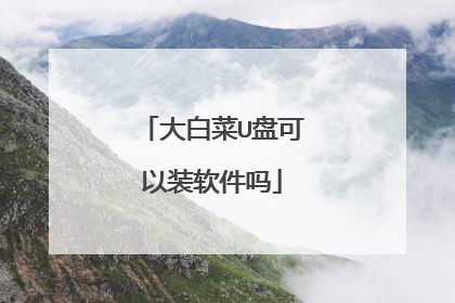 大白菜U盘可以装软件吗
