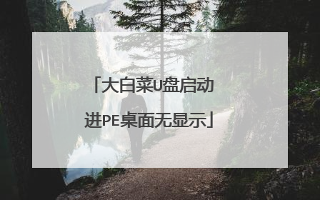 大白菜U盘启动 进PE桌面无显示
