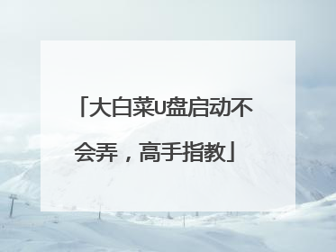 大白菜U盘启动不会弄,高手指教