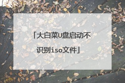 大白菜U盘启动不识别iso文件