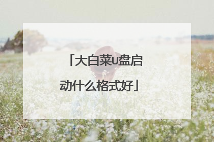 大白菜U盘启动什么格式好