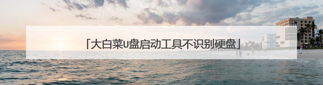 大白菜U盘启动工具不识别硬盘