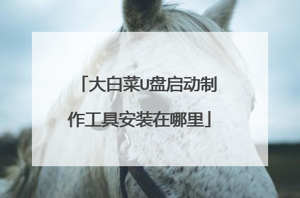 大白菜U盘启动制作工具安装在哪里