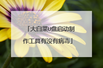 大白菜U盘启动制作工具有没有病毒