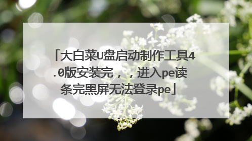 大白菜U盘启动制作工具4.0版安装完，，进入pe读条完黑屏无法登录pe