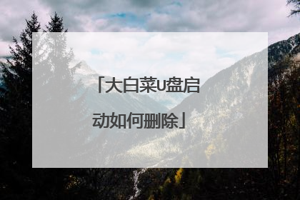 大白菜U盘启动如何删除