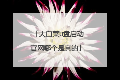 大白菜U盘启动官网哪个是真的