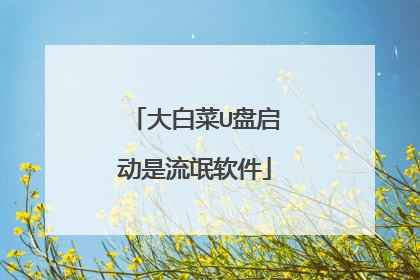大白菜U盘启动是流氓软件