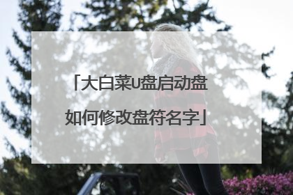大白菜U盘启动盘 如何修改盘符名字