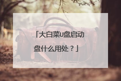 大白菜U盘启动盘什么用处?