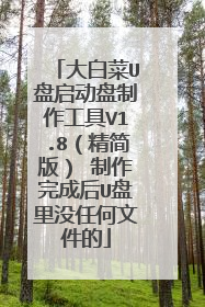 大白菜U盘启动盘制作工具V1.8(精简版) 制作完成后U盘里没任何文件的