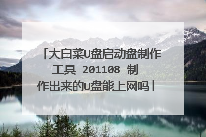 大白菜U盘启动盘制作工具 201108 制作出来的U盘能上网吗