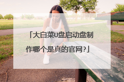 大白菜U盘启动盘制作哪个是真的官网?