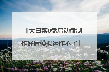大白菜U盘启动盘制作好后模拟运作不了