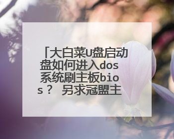 大白菜U盘启动盘如何进入dos系统刷主板bios? 另求冠盟主板刷新bios教程。