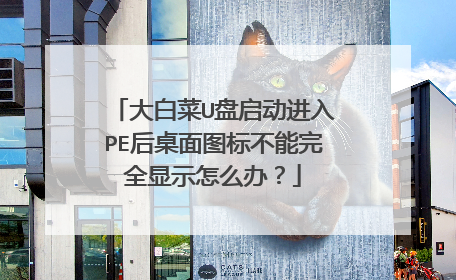 大白菜U盘启动进入PE后桌面图标不能完全显示怎么办?
